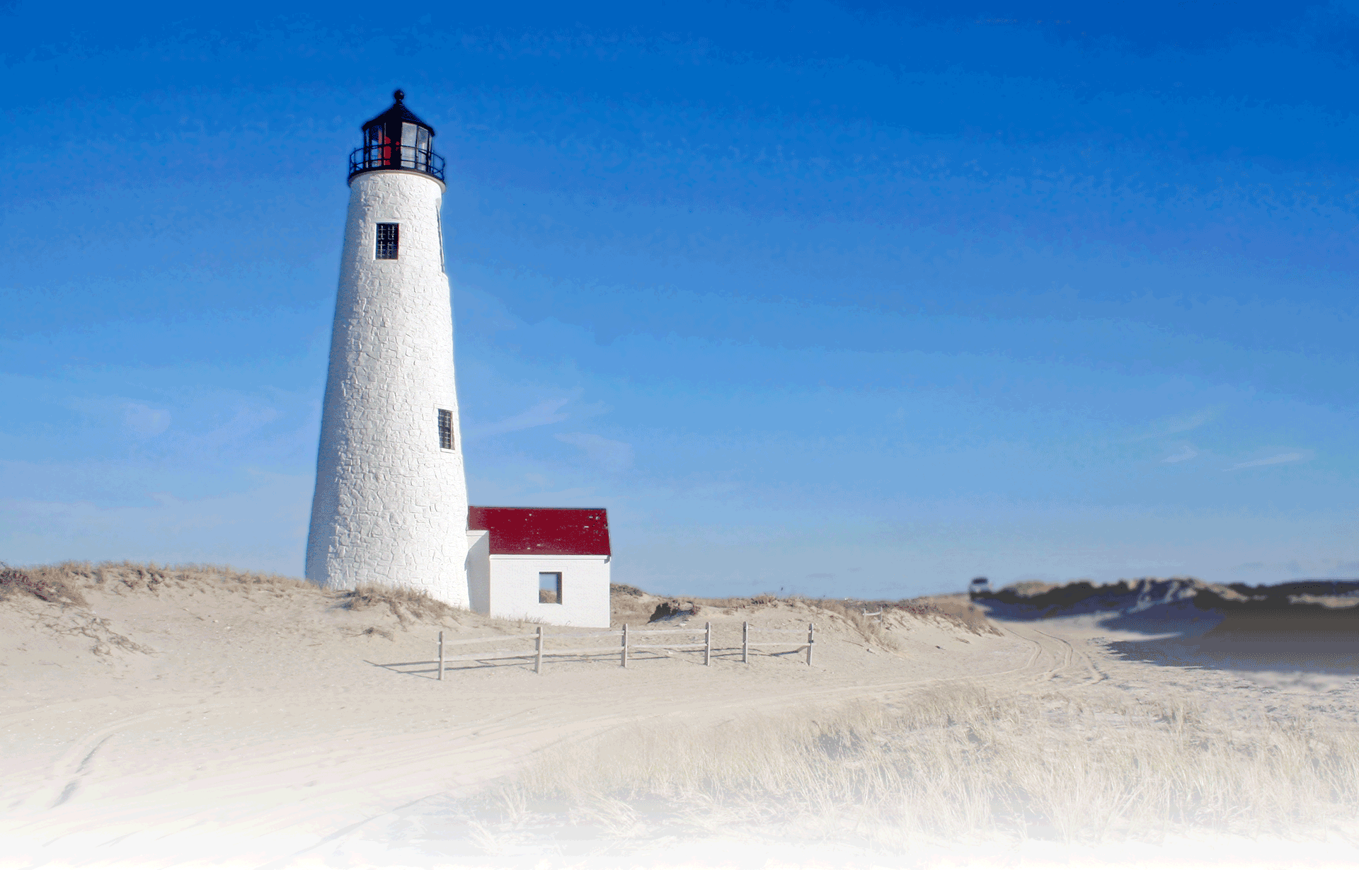 Airline Tickets To St Louis From Albany Ny IQS Executive